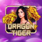 Dragon Tiger nustar gaming live casino